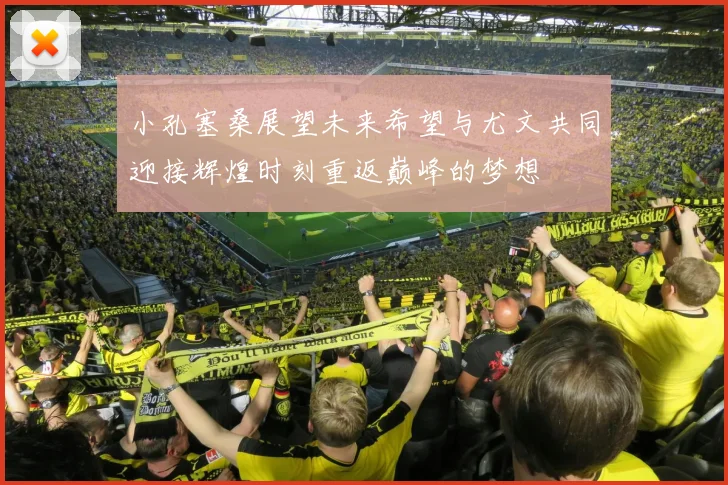 小孔塞桑展望未来希望与尤文共同迎接辉煌时刻重返巅峰的梦想