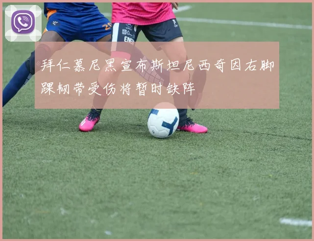 拜仁慕尼黑宣布斯坦尼西奇因右脚踝韧带受伤将暂时缺阵